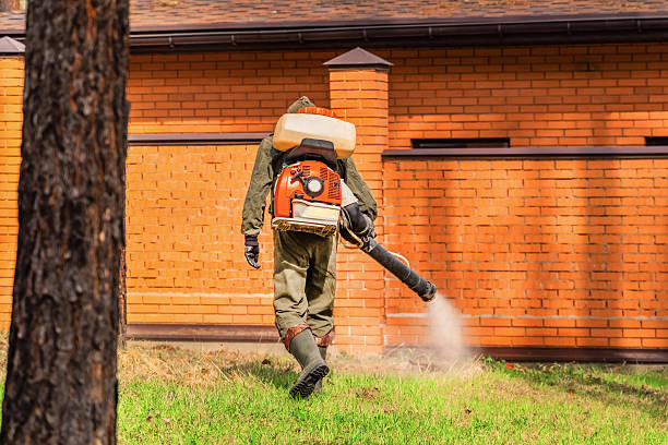 Trusted Bed Bug Control service in Rocky Top, TN - Nex Pest Control